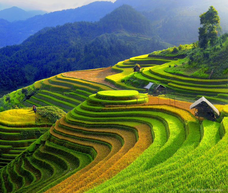 Maze Yen Bai - Maze Vietnam