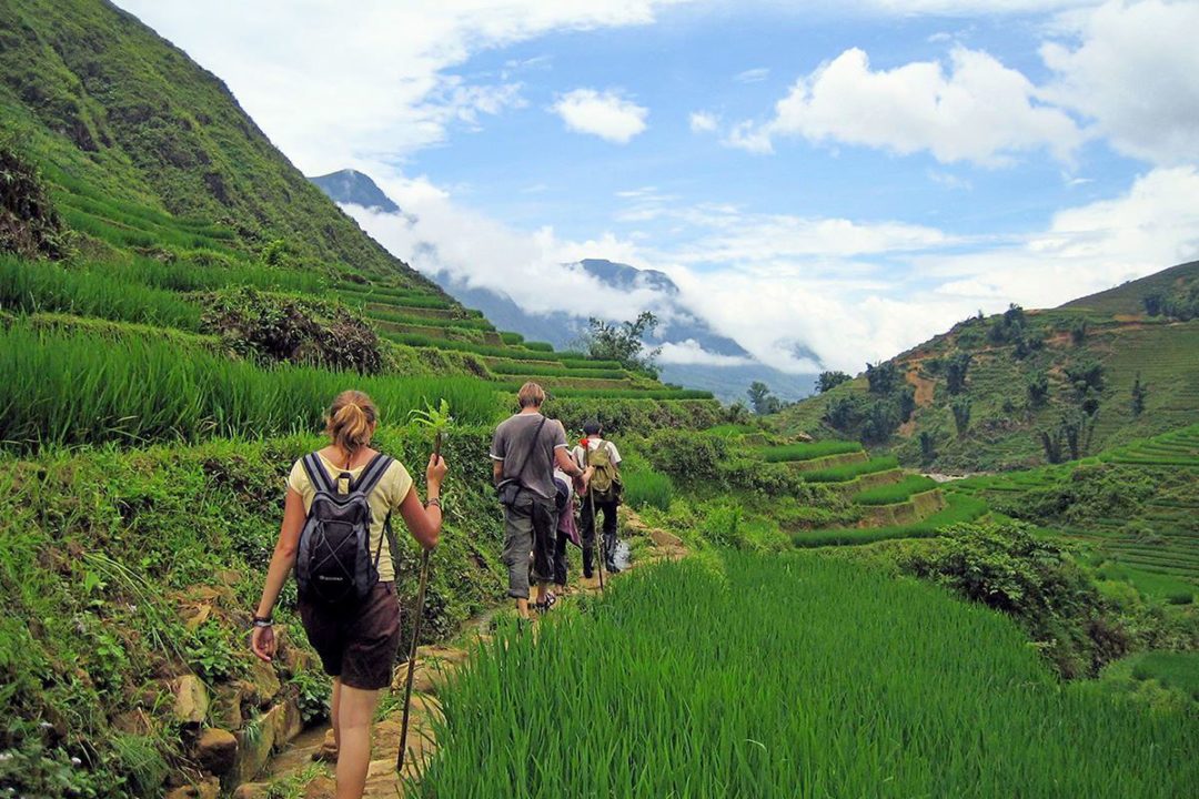 The Top Sapa Tours Days Night Maze Vietnam